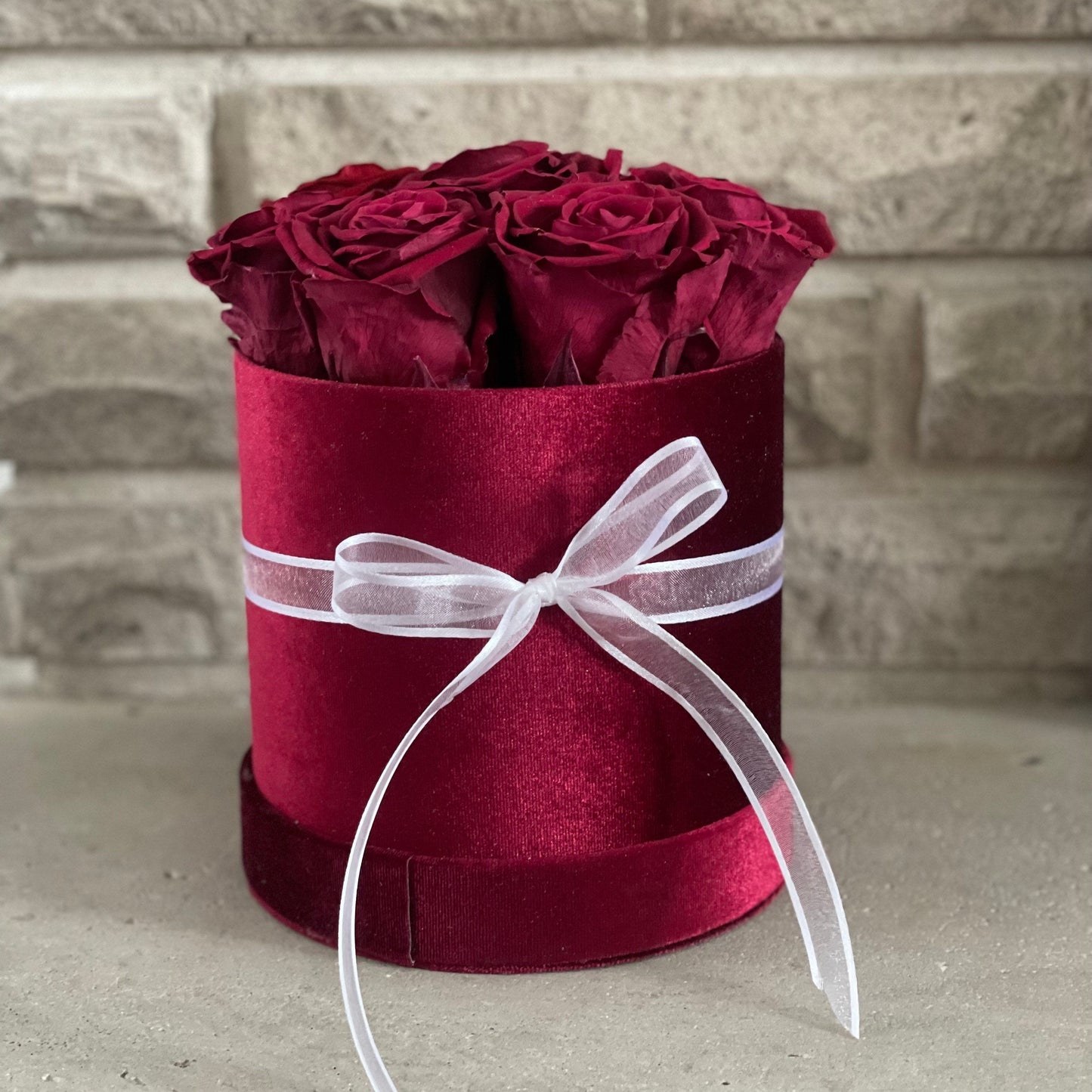 Velvet Luxe