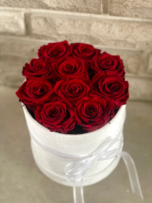 Velvet Amour